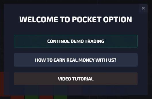 Pocket Option Review India